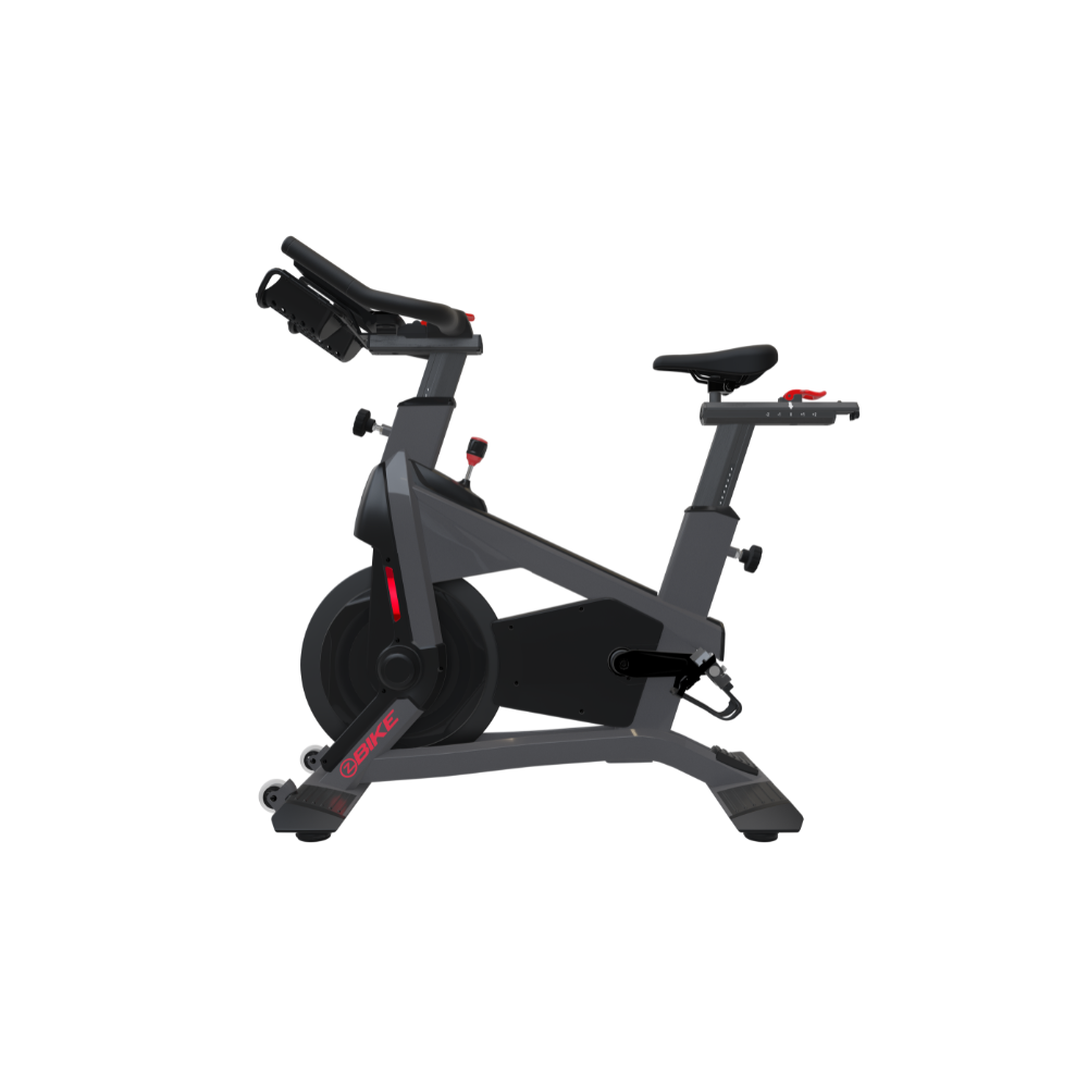 Schwinn Z Bike Indoor Cycle
