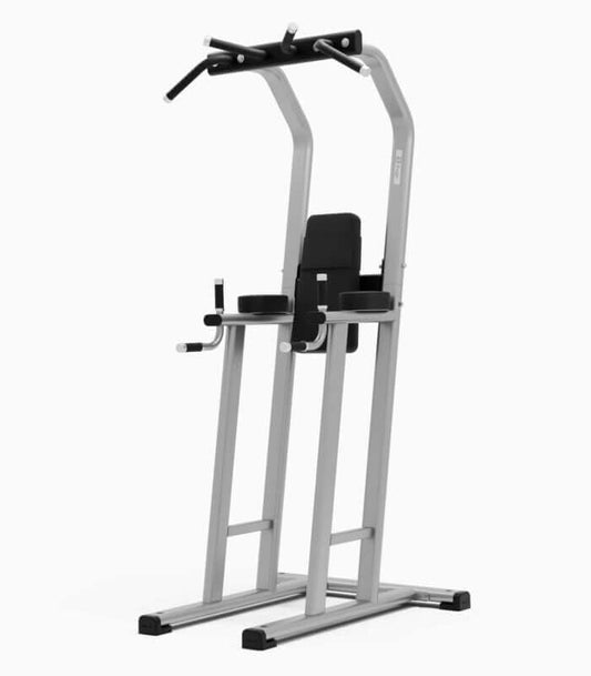 Exigo Chin Dip Leg Raise Station