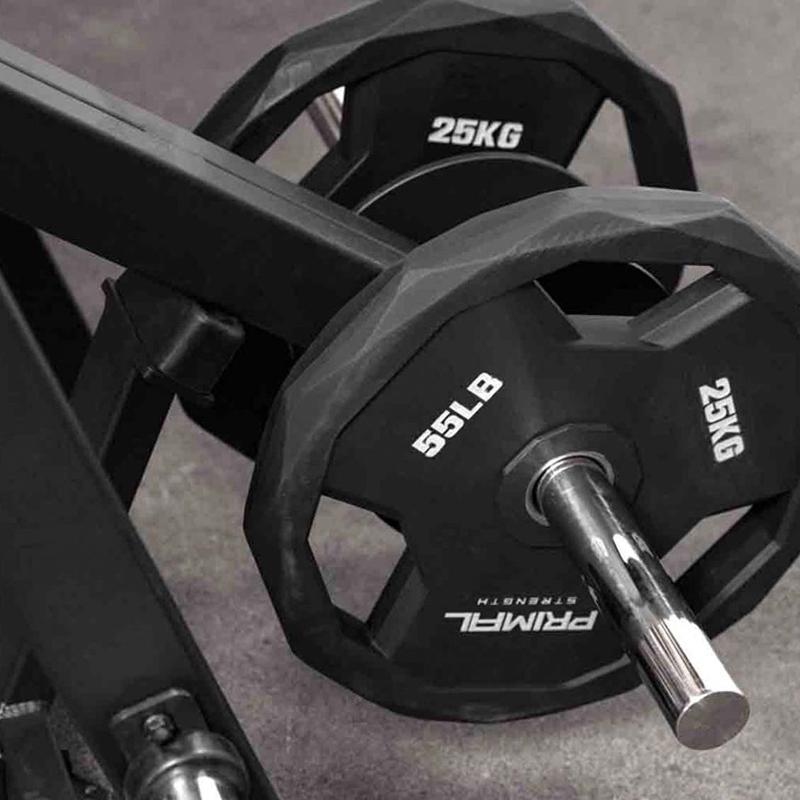 Primal Pro Series Front Facing Lat Pulldown